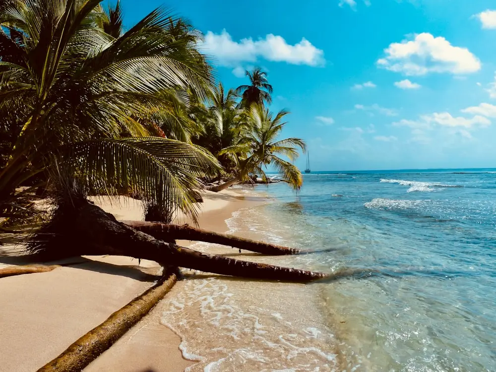Bild Reisezeit Karibik