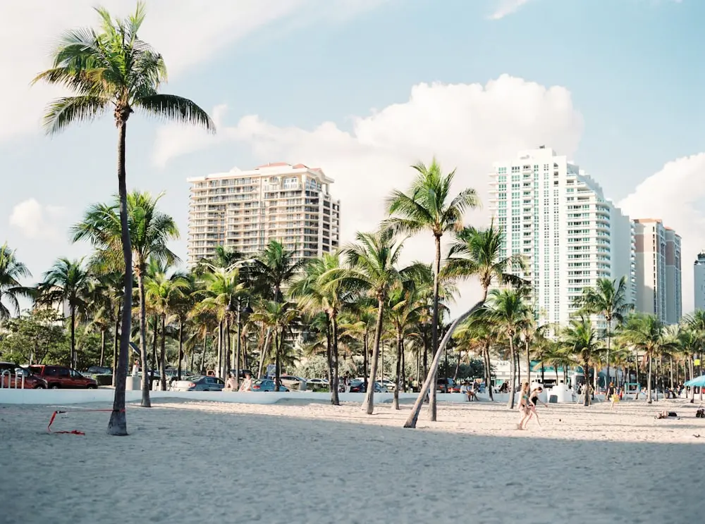 Bild Reisezeit Miami