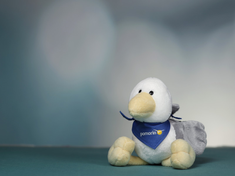 Bepo — Maskottchen und Social-Media-Star